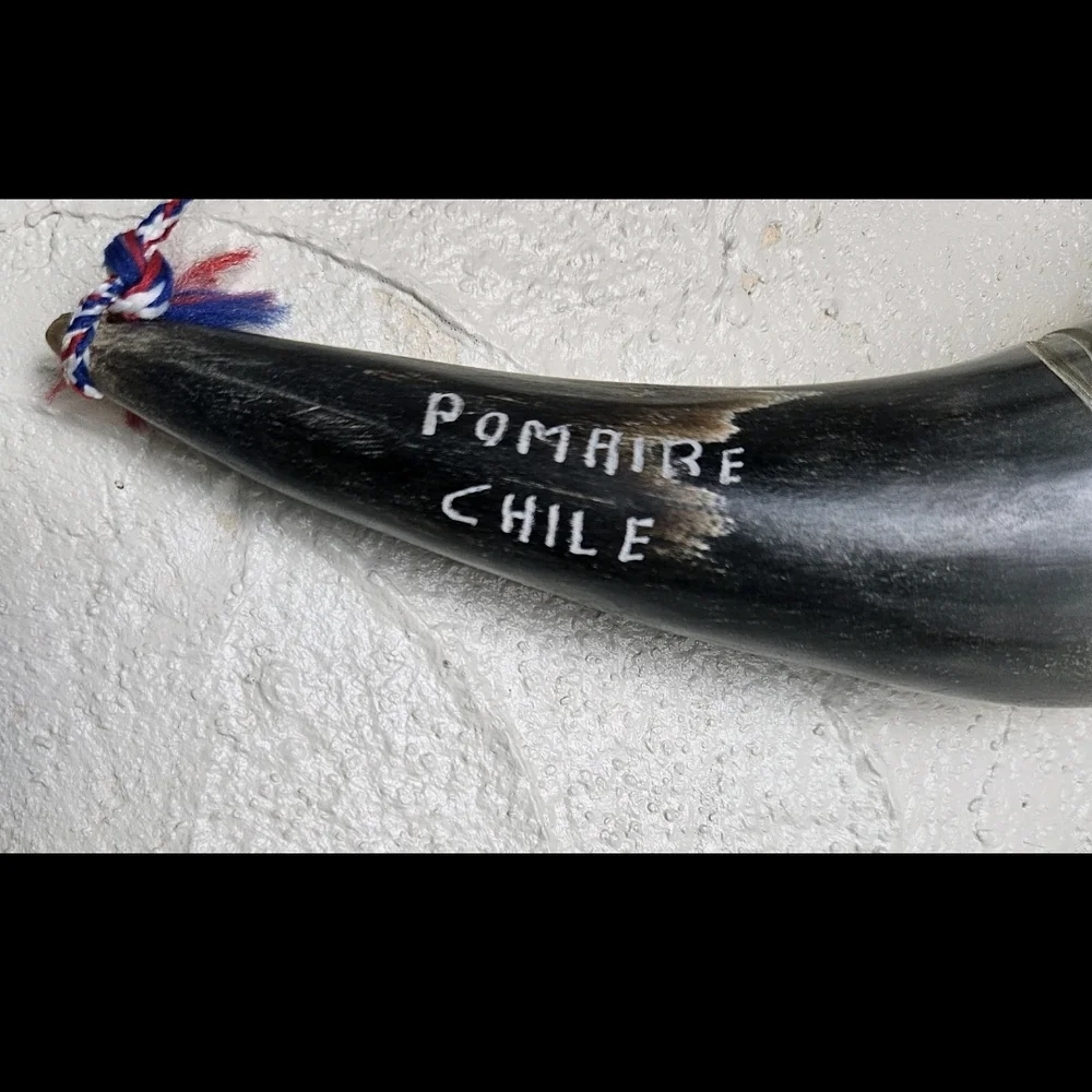 Carved Norse Nordic Forklore Viking Horn Pomaire Chile Souvenir 9” Long